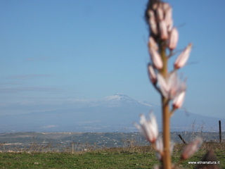 tapiccola-13-01-2013 09-15-28